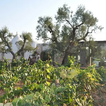 Trulli Beresheet